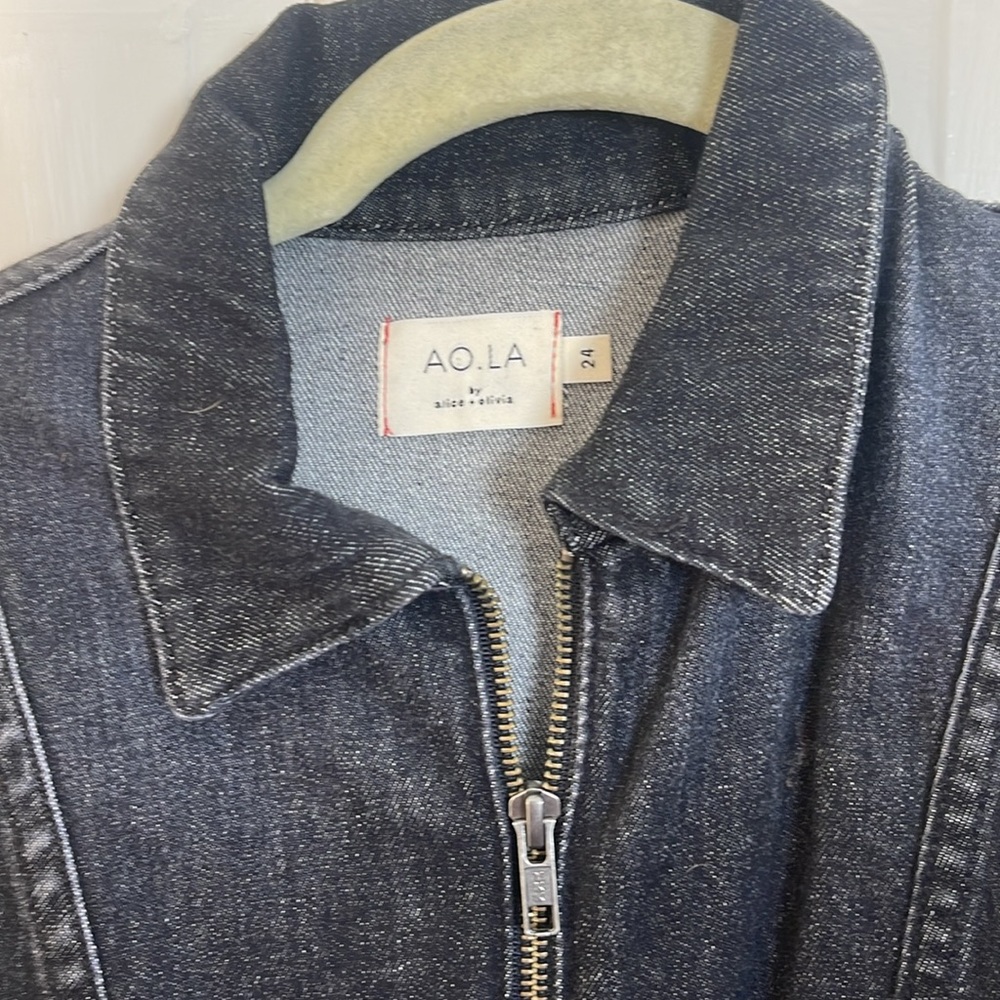 Alice and Olivia denim jumpsuit - Picture 4 of 5